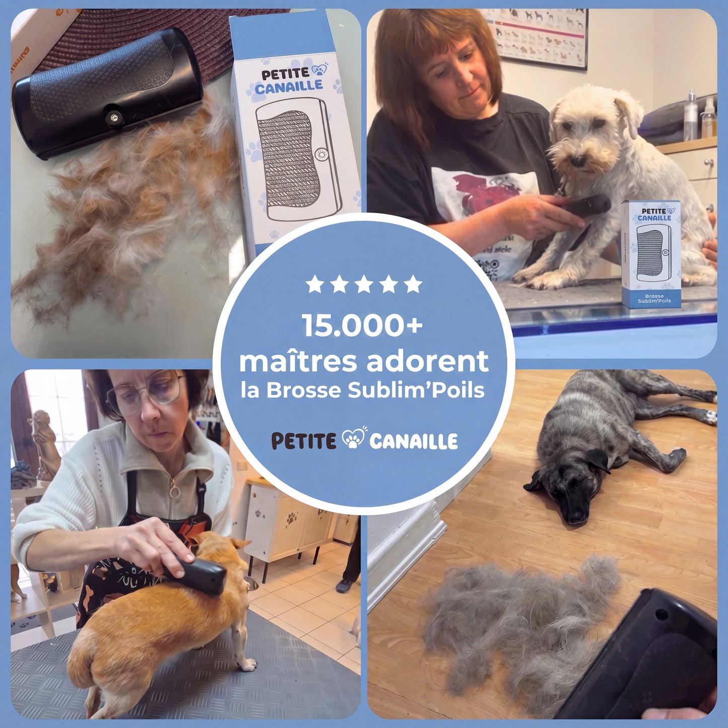 Brosse Chien Sublim’Poils