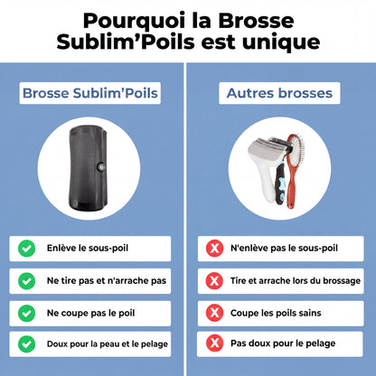 Brosse Chien Sublim’Poils