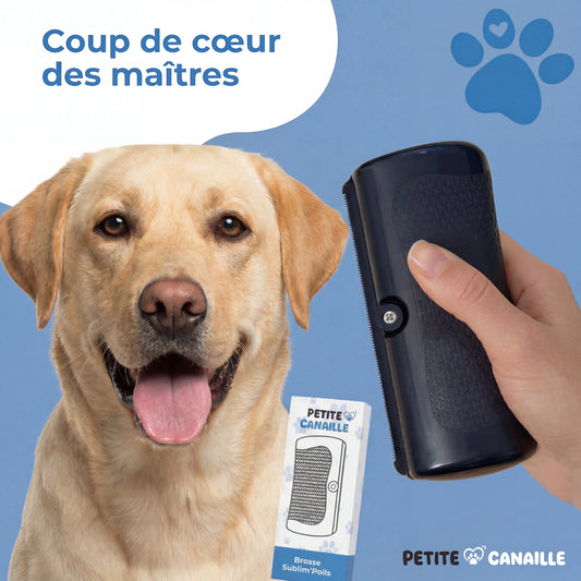 Brosse Chien Sublim’Poils